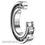 NTN Cylindrical Roller Bearing N Series