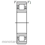 NTN Cylindrical roller bearing + NF200 type