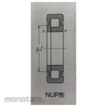 NTN Cylindrical roller bearing NUP