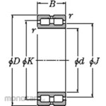 NTN SL Cylindrical Roller Bearing