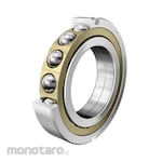 FAG Four Point Contact Bearing