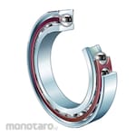 FAG Spindle Bearings (Laher)