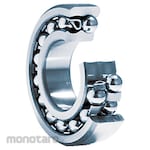 NTN Double Row Angular Contact Ball Bearing (Laher)