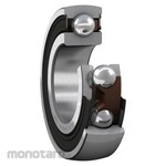 SKF Insert Bearings
