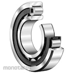 FAG Cylindrical RB