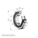 FAG Cylindrical Roller Bearings XL-M1