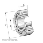 INA Cylindrical Roller Bearings Series TB-XL-