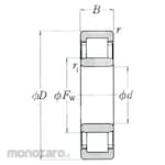 NSK Single Row Cylindrical Roller Bearing Type 200