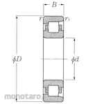 NTN Cylindrical Roller Bearing NF Series
