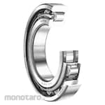 NTN Cylindrical Roller Bearing NUP Series