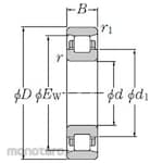 NTN Cylindrical roller bearing + N1000 type