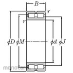 NTN SL type cylindrical roller bearing + SL02-4800 type (free side)
