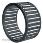 NTN Needle Roller Bearing and Cage Assembly