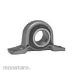 FYH Pillow Block Bearing SBPP Type (Bearing Duduk)