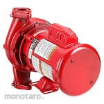 BELL GOSSETT Hydronic Circulating Pump