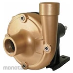DAYTON Pedestal Pump