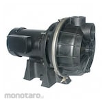 DAYTON Sprinkler Pump
