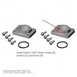 FILL-RITE Meter/Flange Kit 1" BSPT Nickel