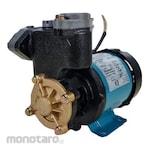 Wasser Shallow Pumps