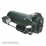 DAYTON Convertible Well Jet Pump