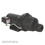 DAYTON Jet Pump for Shallow Well