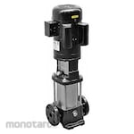 DAYTON Pompa Dorong Vertikal