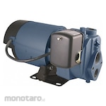 FLINT WALLING Convertible Well Jet Pump