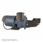 FLINT WALLING Shallow Well Jet Pump with Ejector