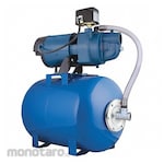 FLINT WALLING ShallowWellJetPumpSystem 115/230VAC