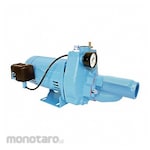 LITTLE GIANT Convertible Well Jet Pump