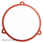 DAYTON Flat Gasket