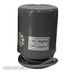 SANEI Otomatis Pompa Air