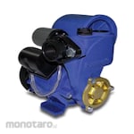 Panasonic Pump Water Automatic (Pompa Air Otomatis)