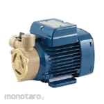 Pedrollo Pompa Air Sumur Dangkal Ryton