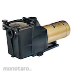 Hayward Pompa Kolam Renang 1 HP