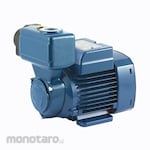 Pedrollo Pump Water for Shallow Well (Pompa Sumur Dangkal)
