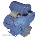 UCHIDA Maspion Pump Water Automatic Shallow Well (Pompa Sumur Dangkal)