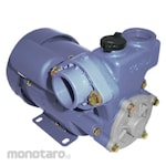 UCHIDA Maspion Pump Water Non-Automatic Shallow Well (Pompa Sumur Dangkal)