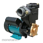 Wasser Pump Shallow Well PW Series (Pompa Sumur Dangkal)