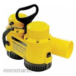 RULE Plug-in Utility Pump