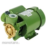 Shimizu Water Pump PS Series