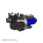 York Pump Pompa Air Kolam Renang SWIM Type