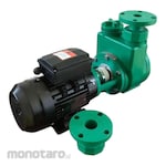 Maxpump Pompa Kimia Seri FS