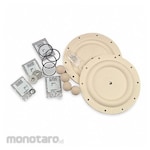 ARO Diaphragm Pump Repair Kit