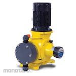 LMI Mechanical Actuated Diaphragm Pump