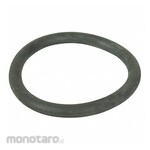 DAYTON O-Ring PK2