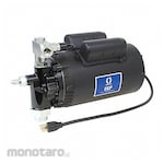 Graco EGP ON DEMAND PUMP 115V
