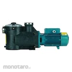 Calpeda Self-Priming Swimming Pool Pump with Strainer