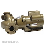 LOCHINVAR Potable Circulating Pump
