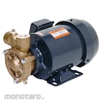 Nikuni Vortex turbine pump KLD (medium pressure, copper alloy)